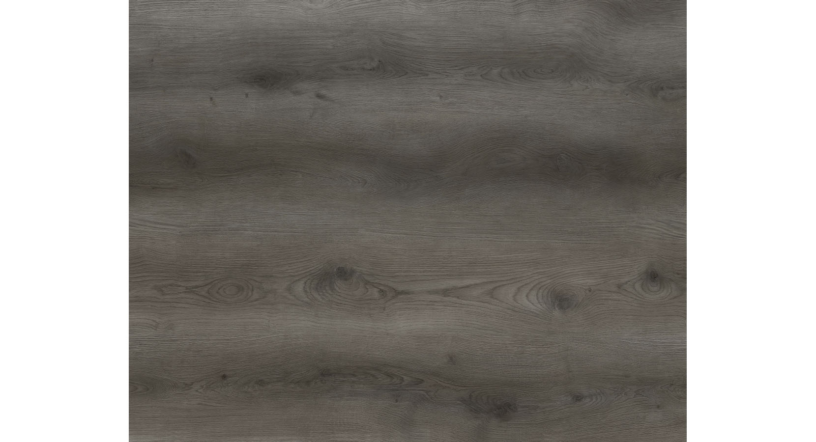 REELCENE03_01